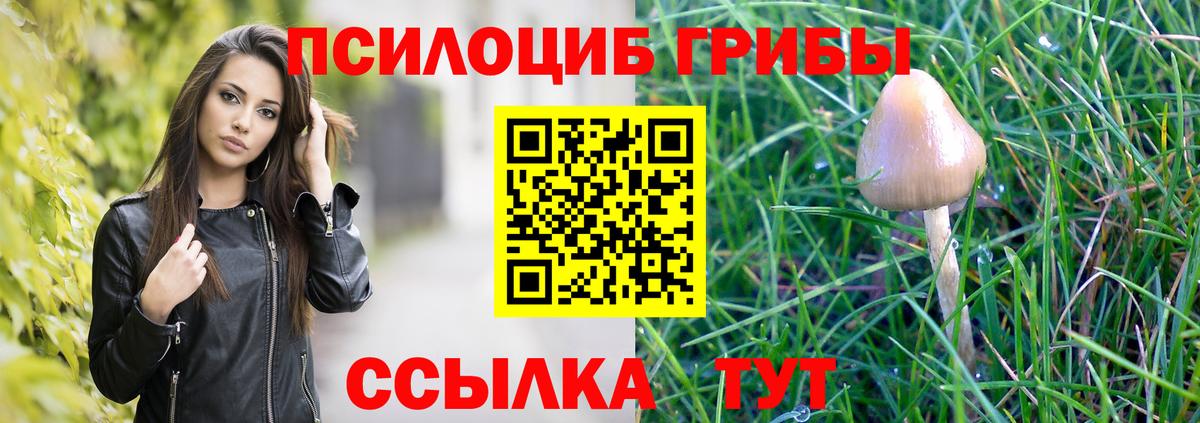 Псилоцибиновые грибы прущие грибы Богородск